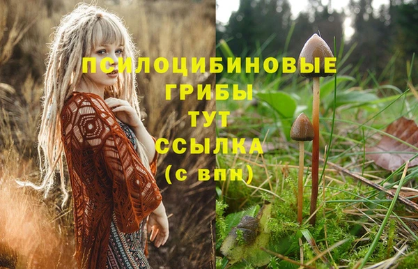 наркотики Приозерск